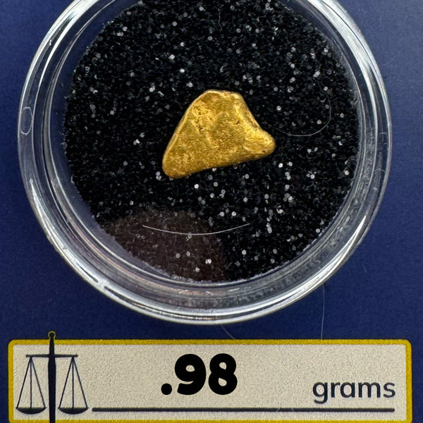 Raw Gold Nuggets for sale | California Gold Nugget .98 grams + Lucky Bonus Bag | #0259