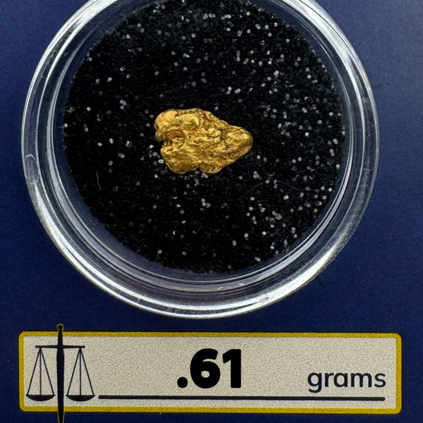 California Gold Nugget for sale