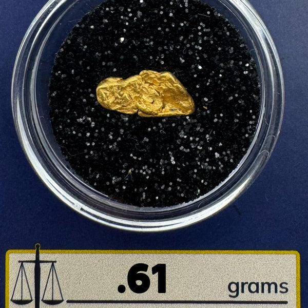 Raw Gold Nuggets for sale | California Gold Nugget .61 grams + Lucky Bonus Bag | #0268