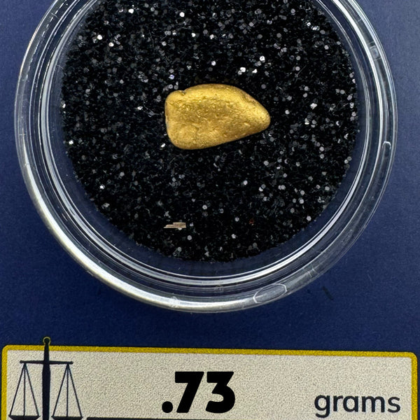 Gold nugget in a clear container with a label indicating weight and website on a blue background