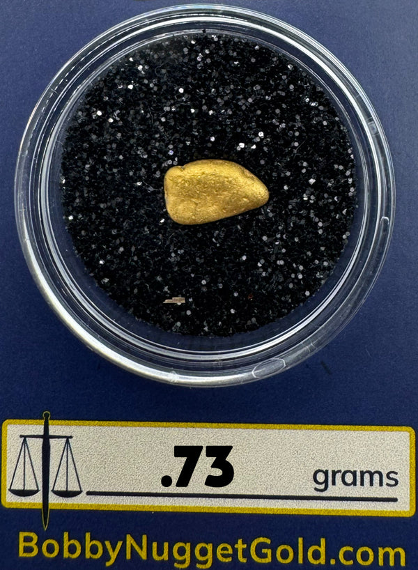 Gold nugget in a clear container with a label indicating weight and website on a blue background