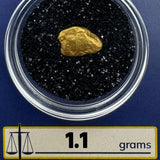 Gold nugget in a clear container with black sand, labeled '1.1 grams' and 'BobbyNuggetGold.com'.