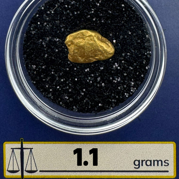 Gold nugget in a clear container with black sand, labeled '1.1 grams' and 'BobbyNuggetGold.com'.
