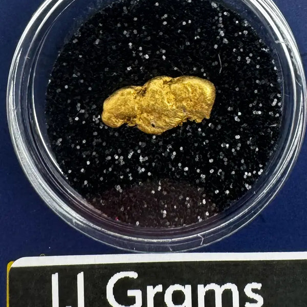 Gold nugget in a clear container with a blue background