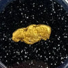Raw Gold Nuggets for sale | California Gold Nugget 1.1 grams + Lucky Bonus Bag | #0274