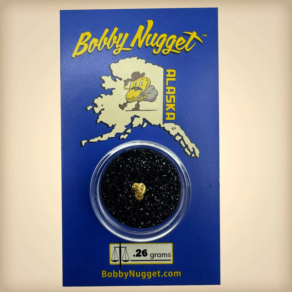 Alaska gold bobby nugget