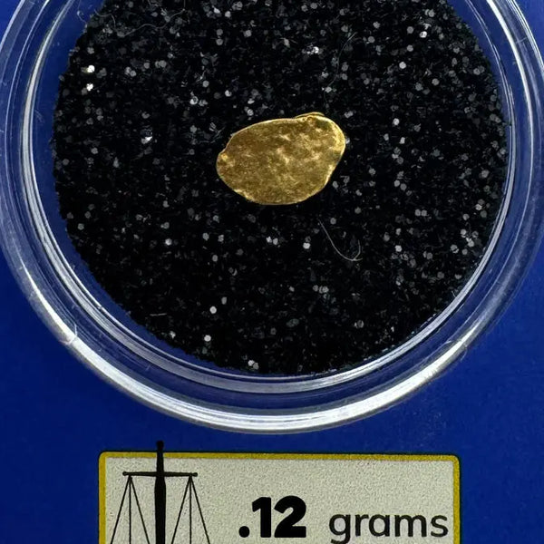 Alaskan gold picker for sale