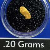 Gold nugget in a clear container with black sand on a blue background, labeled '.20 Grams #3202' and 'BobbyNugget.com'.