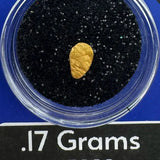 Alaska Gold nugget in a container with black sand, labeled '.17 Grams #3209' and 'BobbyNugget.com'.