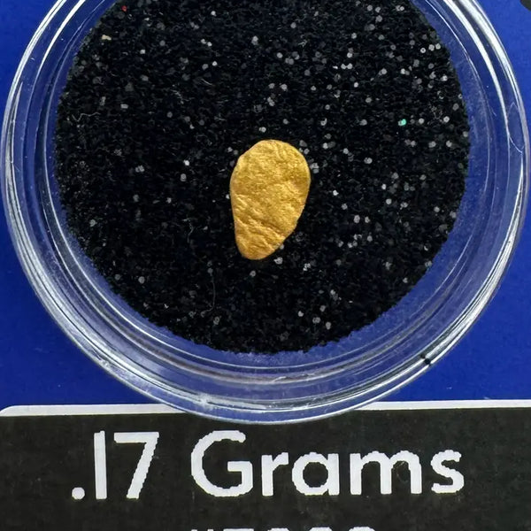 Alaska Gold nugget in a container with black sand, labeled '.17 Grams #3209' and 'BobbyNugget.com'.