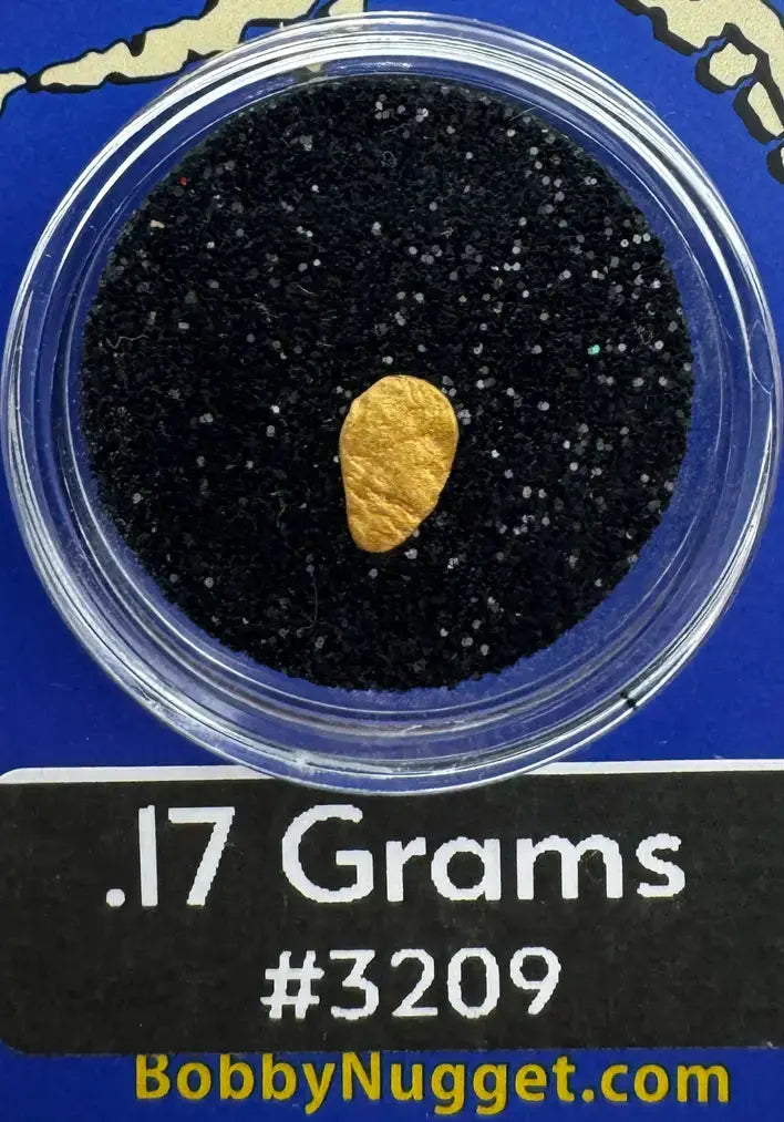 Alaska Gold nugget in a container with black sand, labeled '.17 Grams #3209' and 'BobbyNugget.com'.