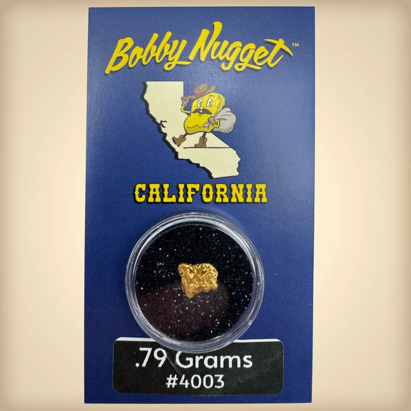 California gold rush nuggets
