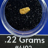 Gold nugget in a clear container with black sand, labeled '.22 Grams #4102' and 'BobbyNugget.com'.