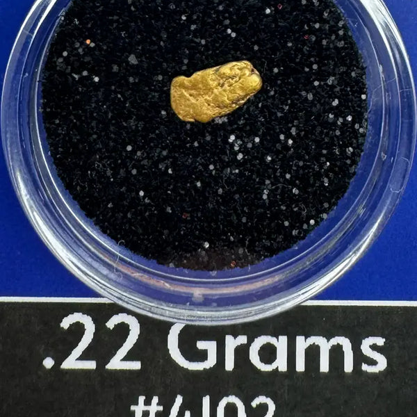 Gold nugget in a clear container with black sand, labeled '.22 Grams #4102' and 'BobbyNugget.com'.
