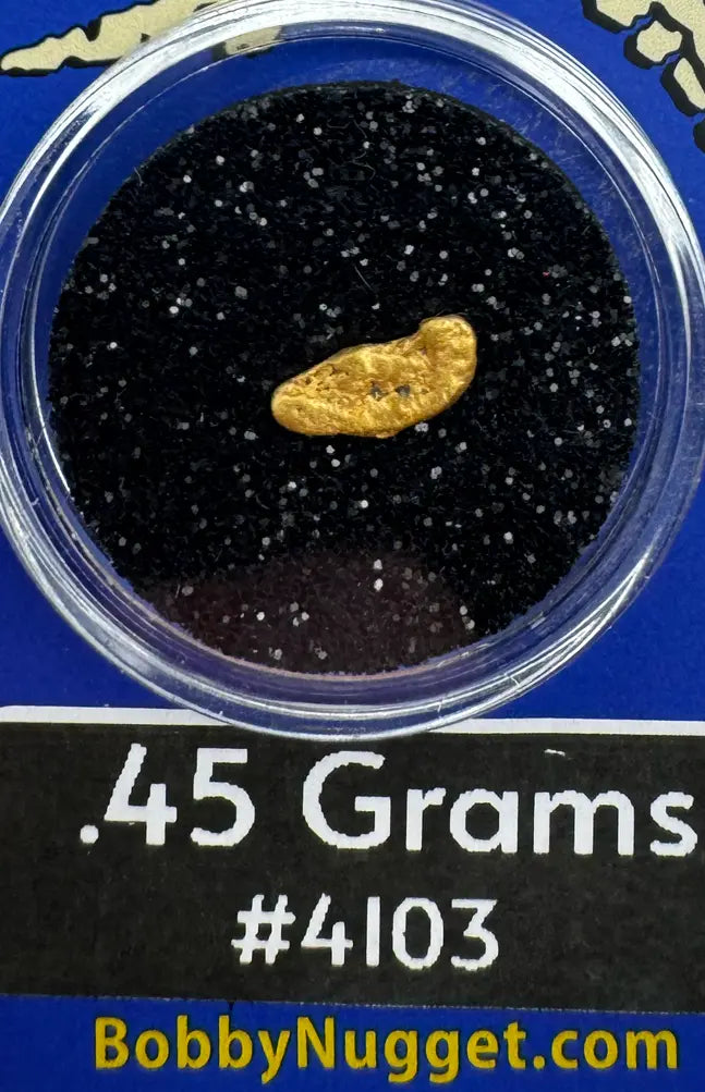 Natural Alaska Nugget for Sale