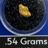 tok alaska gołd nugget for sale