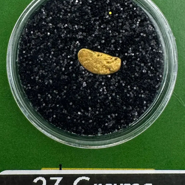 oregon gold  nugget for sale