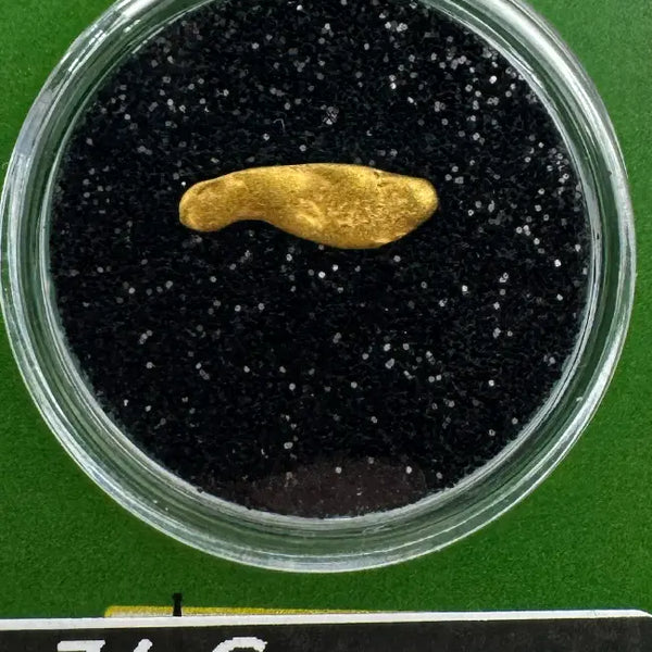 Oregon Placer Gold Nuggets for Sale