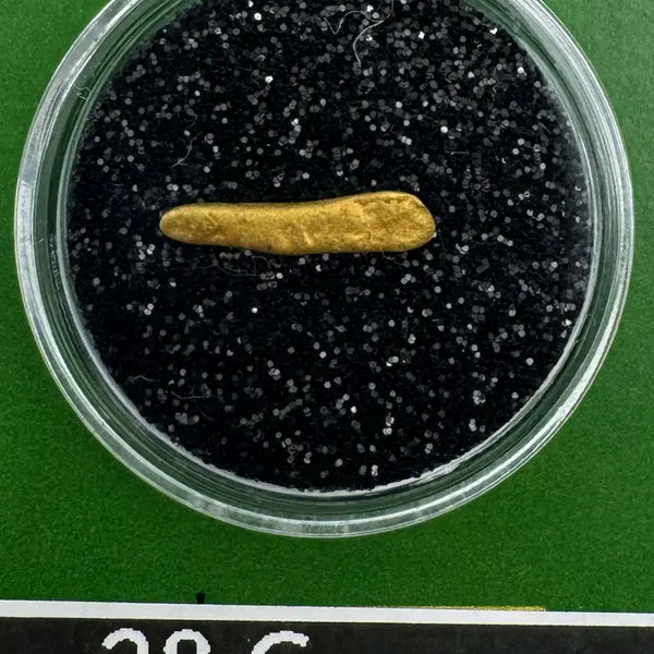 Rare Oregon Gold Nuggets | Natural Investment Gold