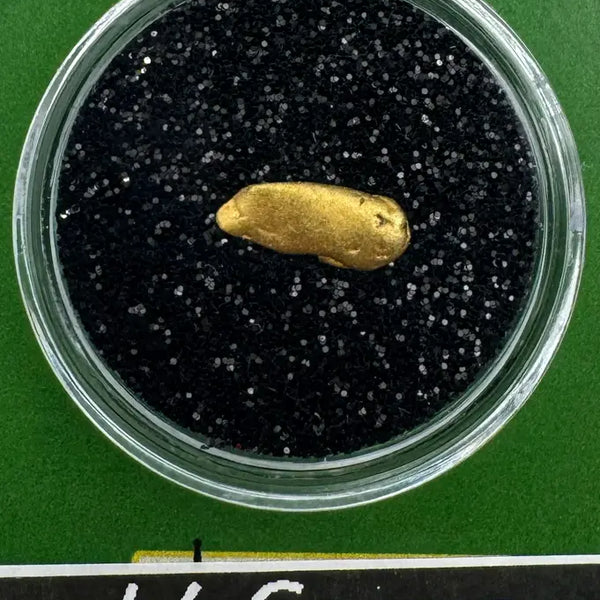 Unrefined Oregon Gold Nuggets for Collectors