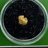real oregon gold nuggets for sale