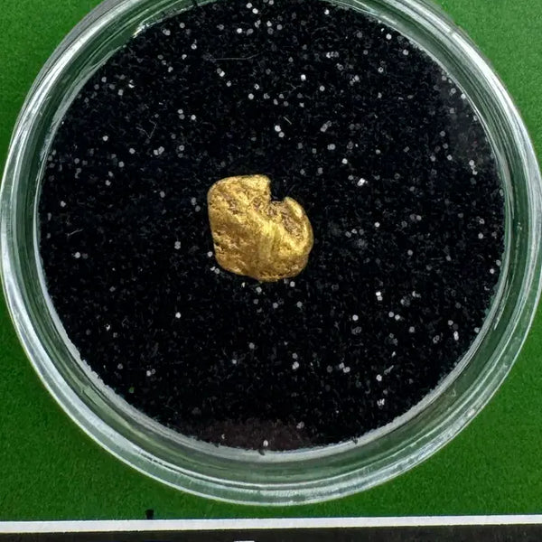 real oregon gold nuggets for sale