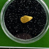 oregon nugget for sale