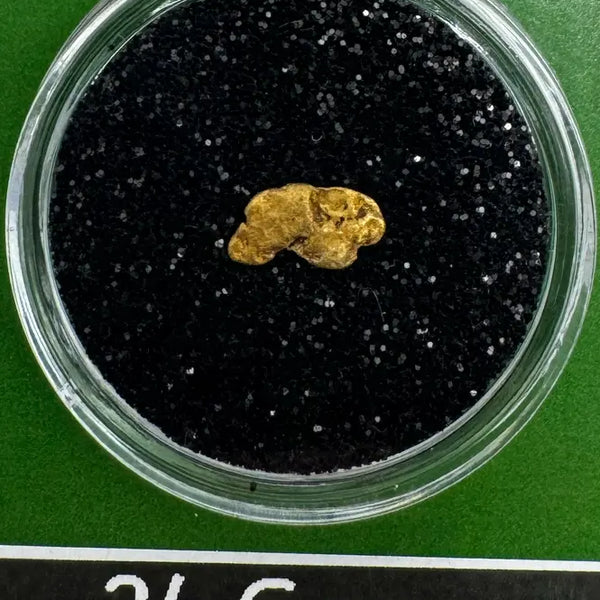 Oregon Gold Nugget for sale | Natural Placier Gold Nugget .24 grams | Free Shipping + Lucky Bonus Bag | #5010