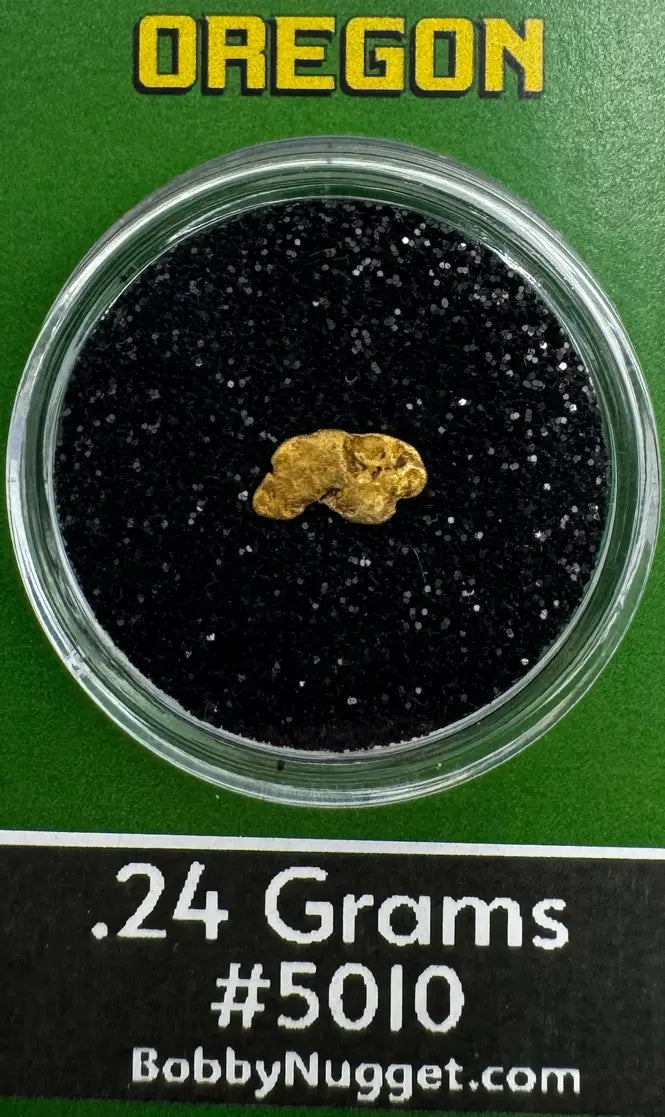 Oregon Gold Nugget for sale | Natural Placier Gold Nugget .24 grams | Free Shipping + Lucky Bonus Bag | #5010
