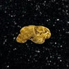 Oregon Gold Nugget for sale | Natural Placier Gold Nugget .24 grams | Free Shipping + Lucky Bonus Bag | #5010