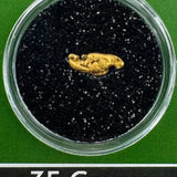 oregon gold nugget