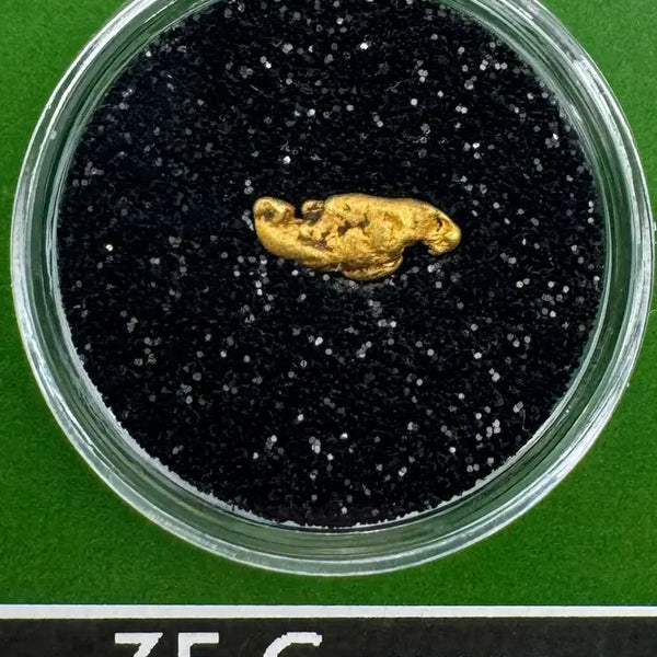 oregon gold nugget