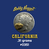 Natural California Gold Nugget  .31 grams + Lucky Bonus Bag | #0351