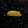 Oregon Gold Nugget for sale | Natural gold nugget .26  grams + Lucky Bonus Bag | #0283 Bobby Nugget Gold