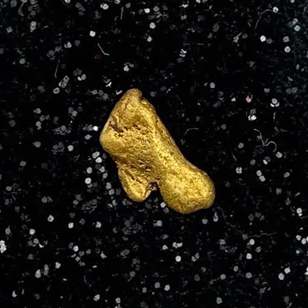 Oregon Gold Nugget for sale | Natural gold nugget .38 grams + Lucky Bonus Bag | #0277 Bobby Nugget Gold