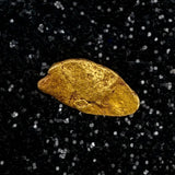 Oregon Gold Nugget for sale | Natural gold nugget .36 grams + Lucky Bonus Bag | #0275 Bobby Nugget Gold