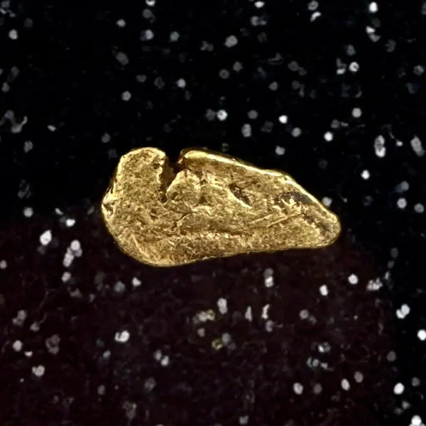California Gold Nuggets for Sale .24 grams – Natural Placer Gold | Free Shipping + Lucky Bonus Bag Bobby Nugget Gold