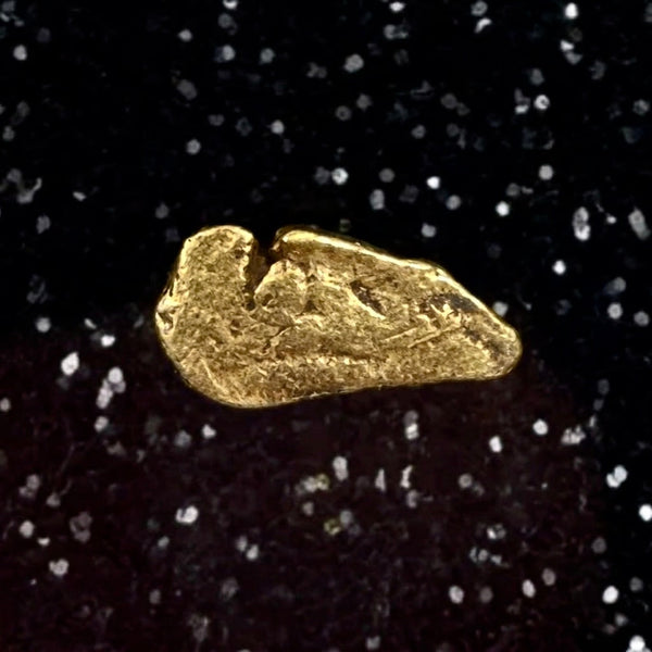 California Gold Nuggets for Sale .24 grams – Natural Placer Gold | Free Shipping + Lucky Bonus Bag Bobby Nugget Gold