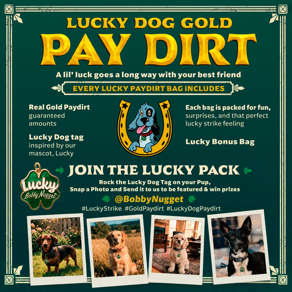 Lucky Gold Paydirt Prospecting Bag | Guaranteed Gold .88 Grams | Gold Rush Panning Concentrates + Lucky’s Bonus Bag Gift Inside Bobby Nugget Gold