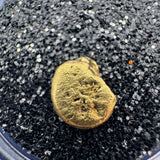 Real California gold nugget showcased with subtle shadows on a clean white backdrop