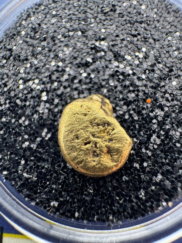 Real California gold nugget showcased with subtle shadows on a clean white backdrop