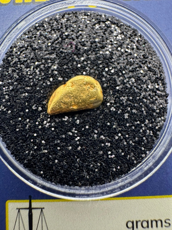 Close-up of natural California gold nugget resting on black display material inside clear case