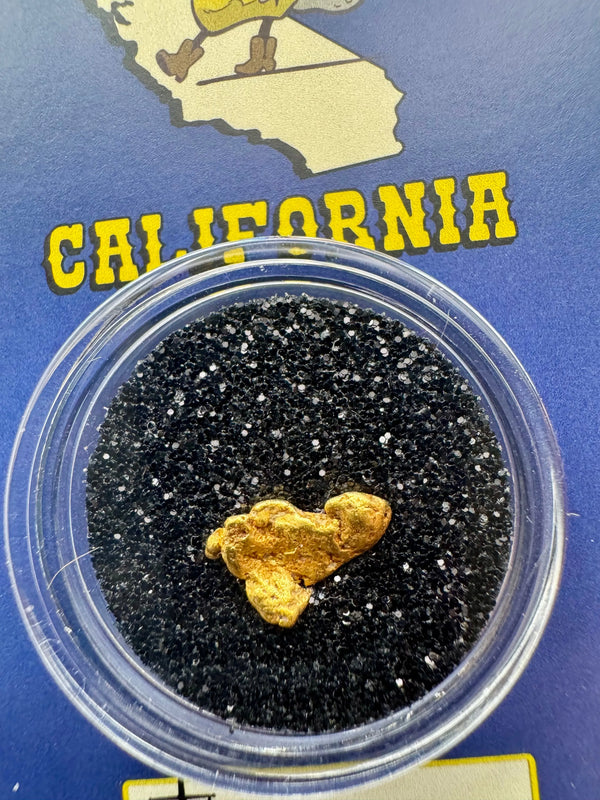 california gold nugget