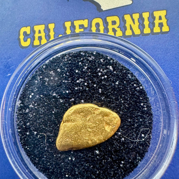 california gold nugget