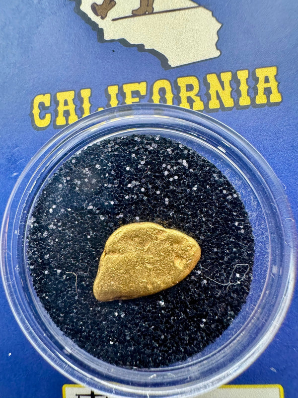 california gold nugget