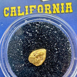 california gold nugget