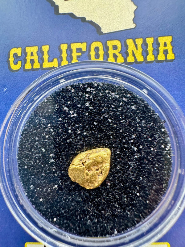 california gold nugget