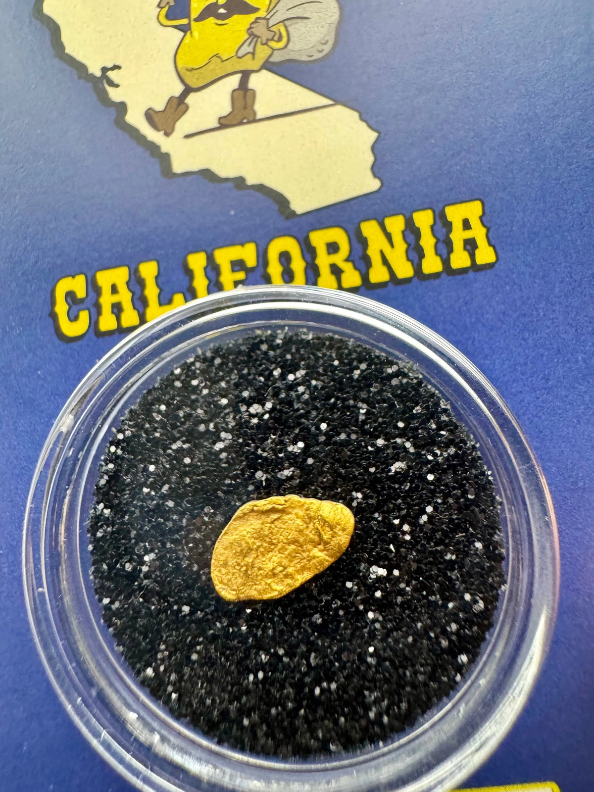  california gold nugget