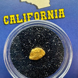 california gold nugget