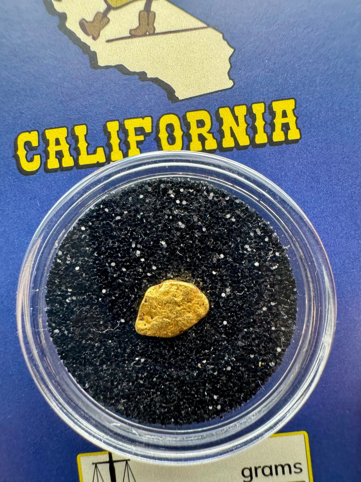 california gold nugget